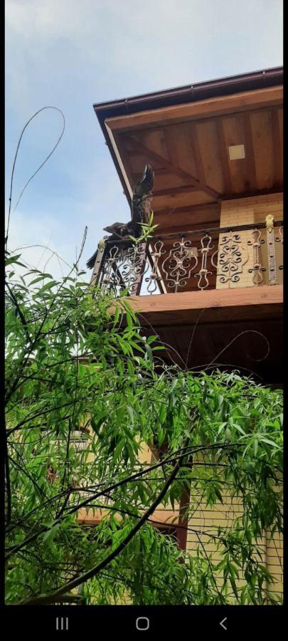 Like Guest House 撒马尔罕 外观 照片