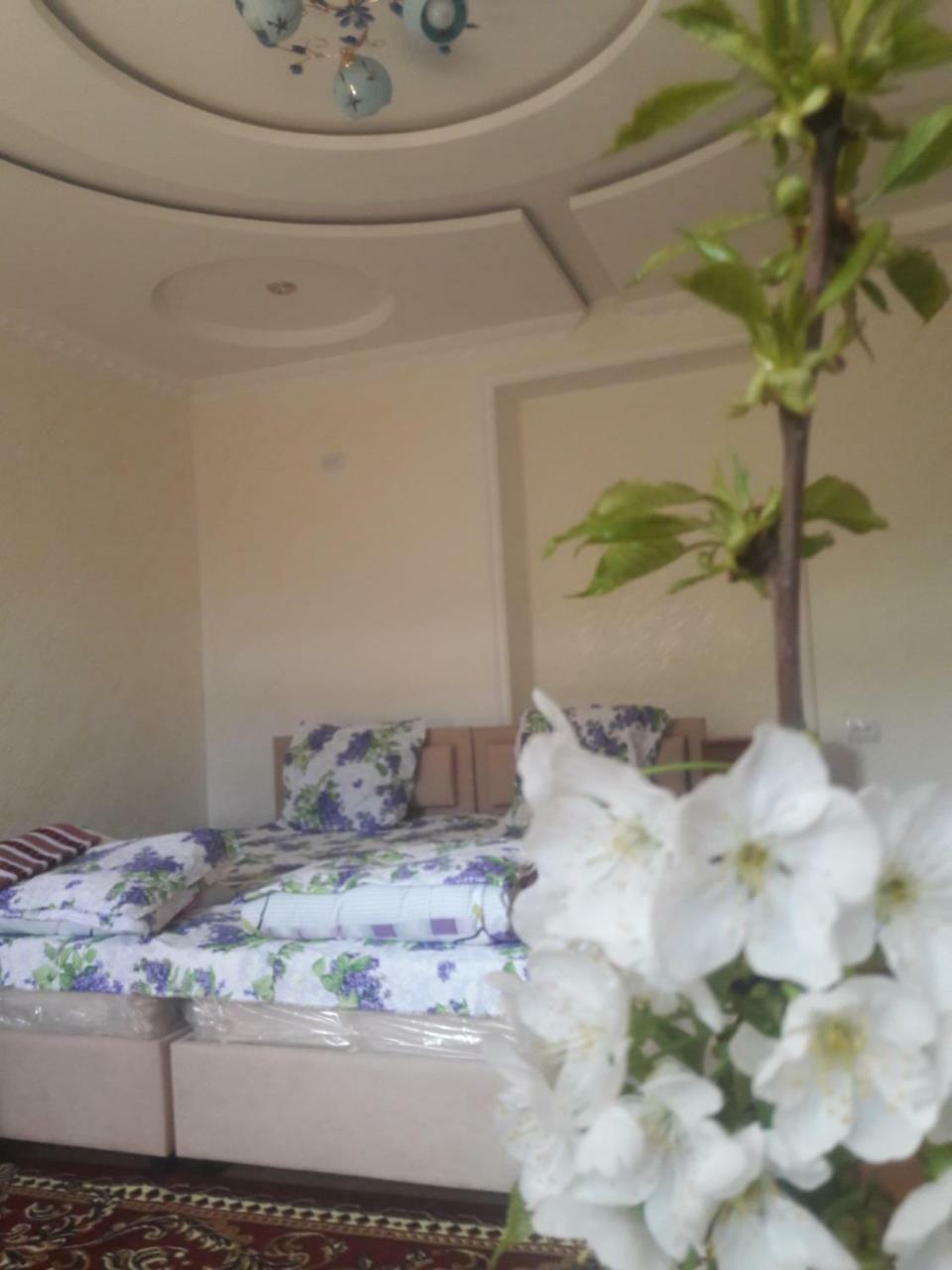 Like Guest House 撒马尔罕 外观 照片